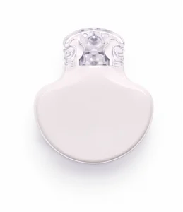 Medtronic Guardian
